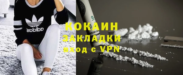 тгк Абаза