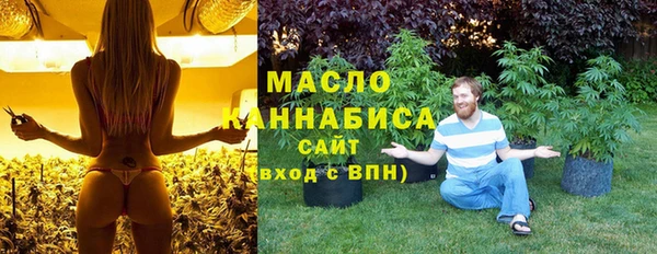 тгк Абаза