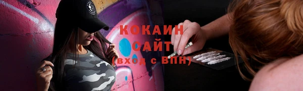 тгк Абаза
