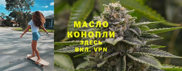 тгк Абаза