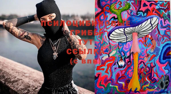 ECSTASY Абдулино