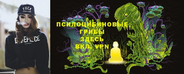 тгк Абаза