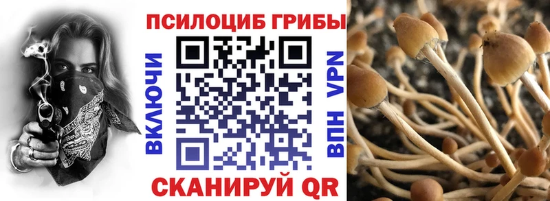 Галлюциногенные грибы Cubensis  KRAKEN ONION  Тбилисская  цена наркотик 
