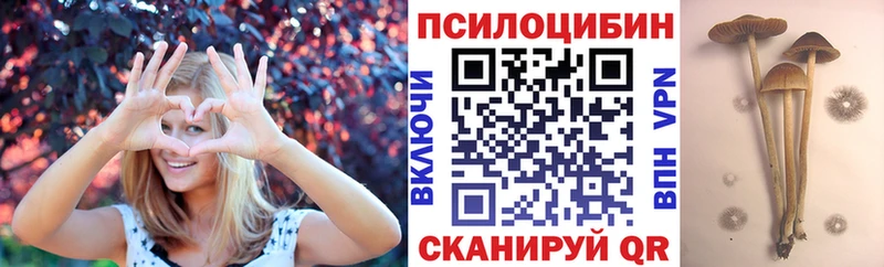 Псилоцибиновые грибы прущие грибы Тбилисская